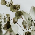 natural-cosmetics